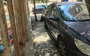 Φωτογραφία 3