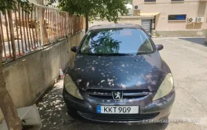 Φωτογραφία 4
