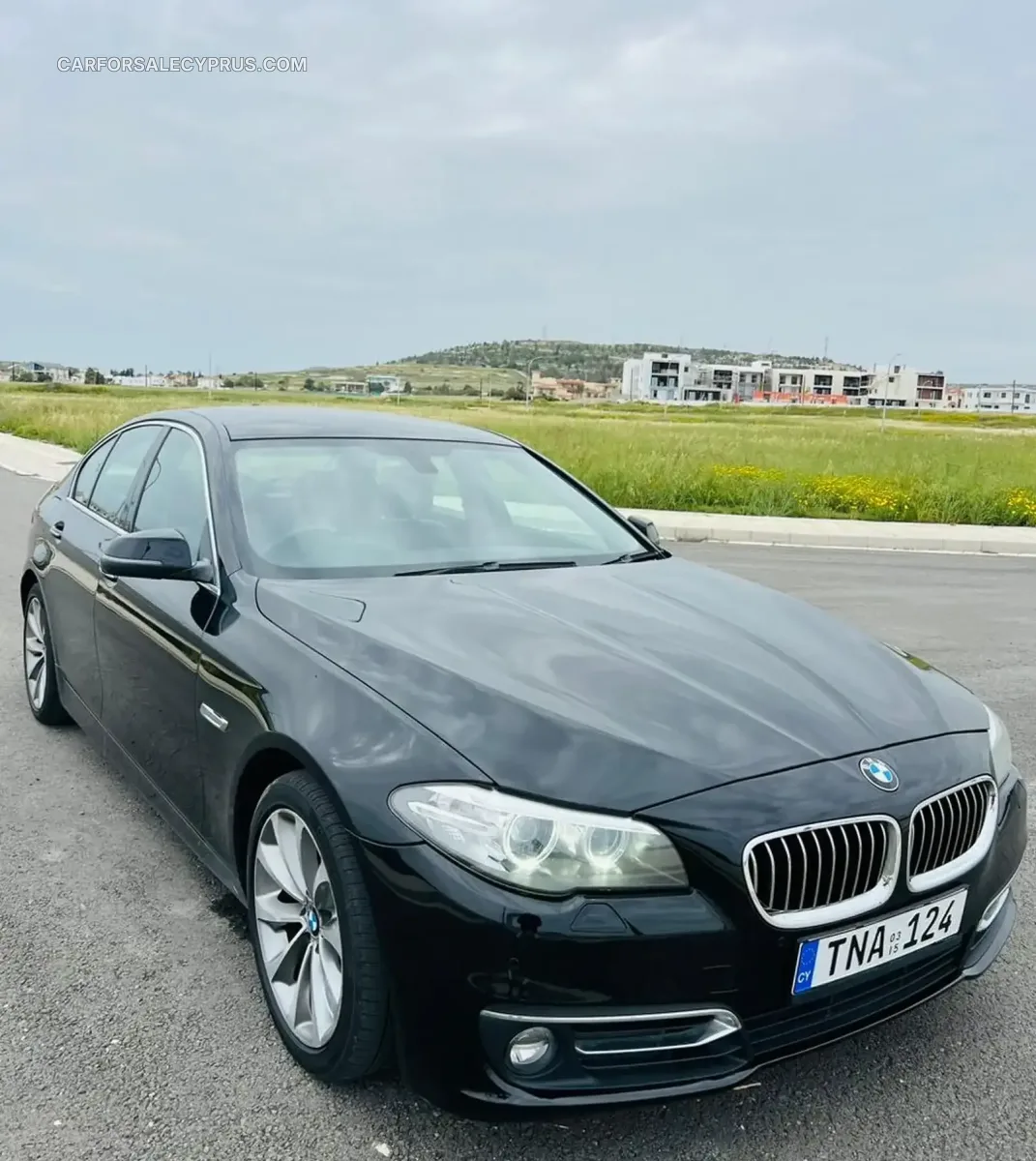 BMW Series 5 2015