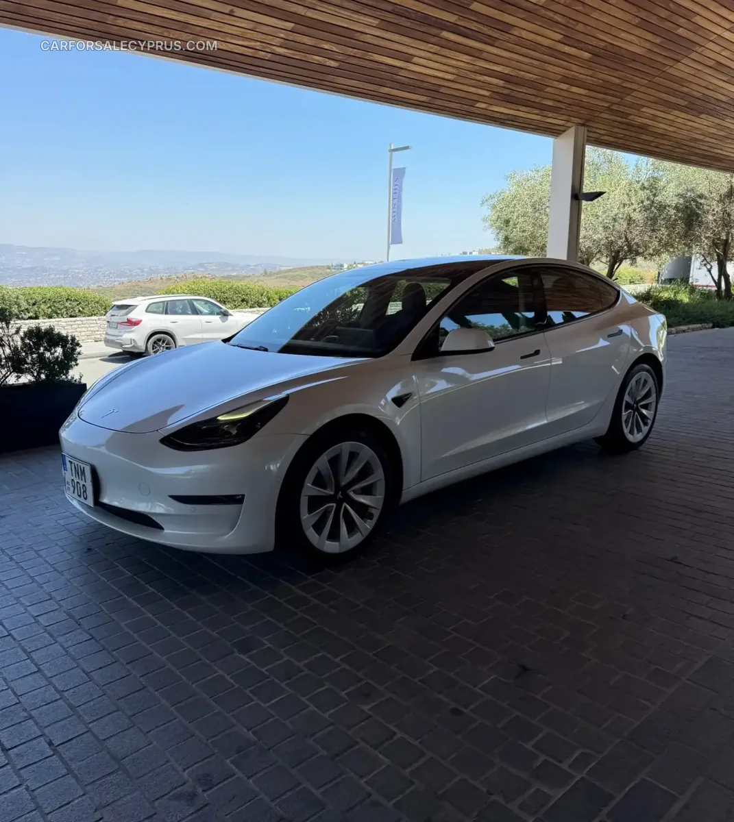 Tesla Model 3 2021