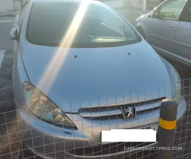 Peugeot 307 2004 – φωτογραφία 8