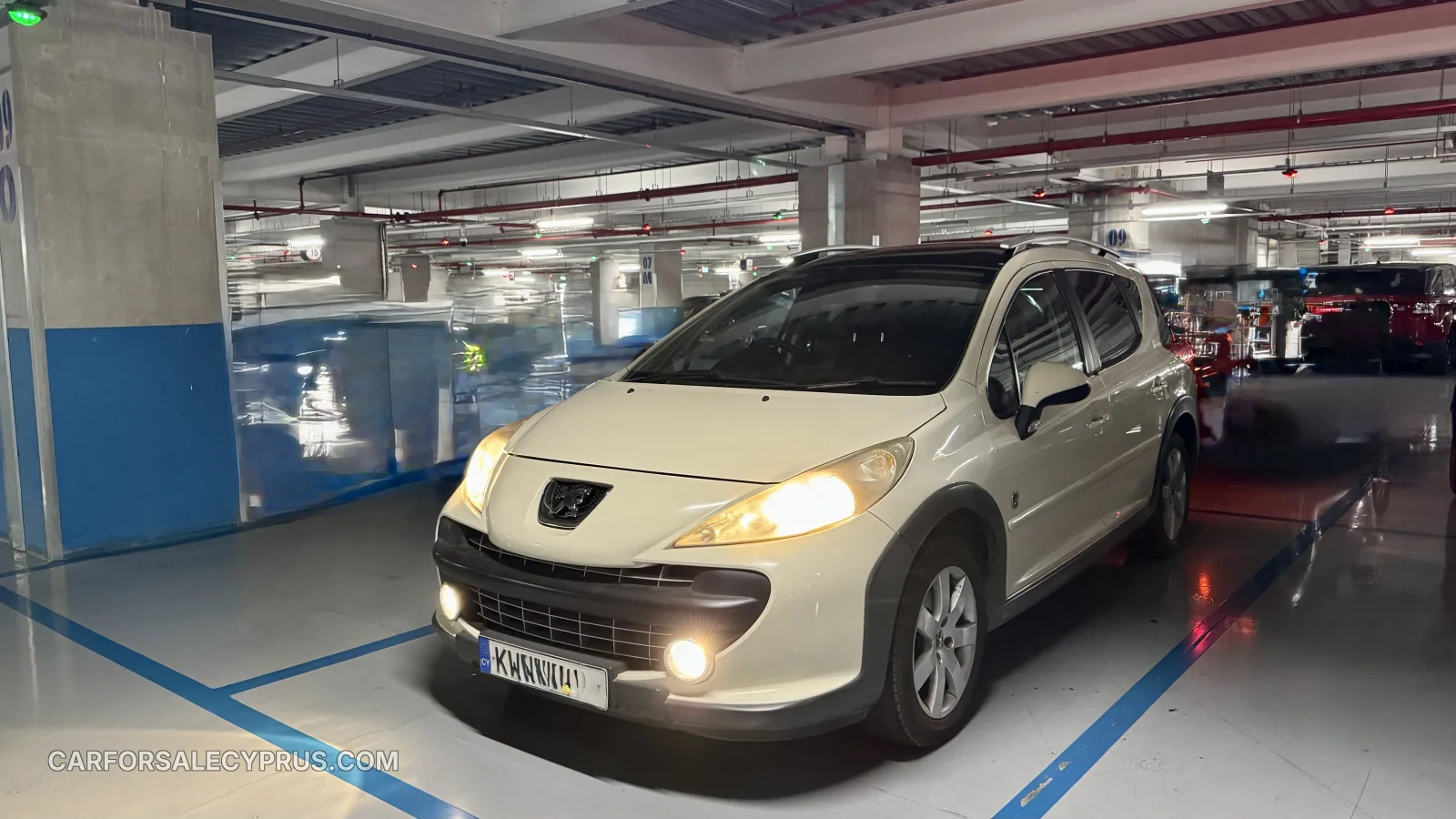 Peugeot 207 SW 2009