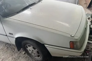 Φωτογραφία 7