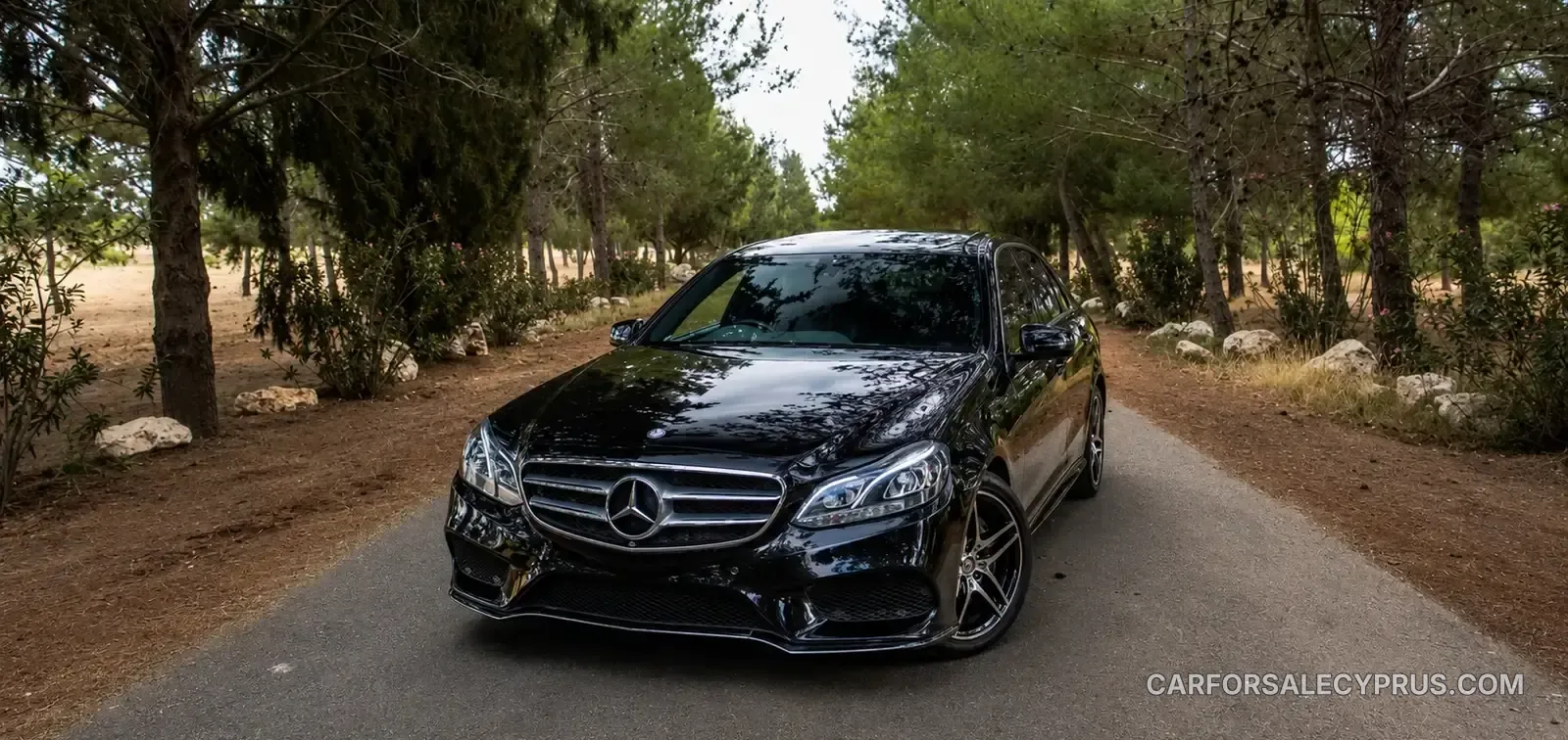 Mercedes-Benz E-Class 2014