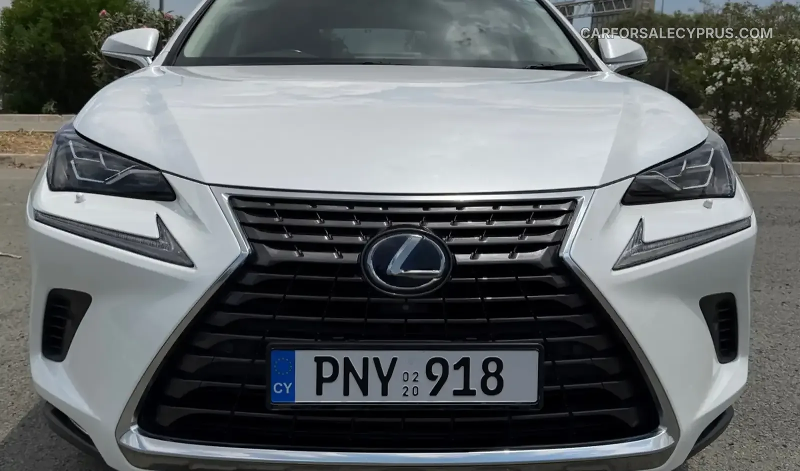 Lexus NX 2020