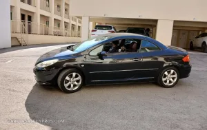 Peugeot 307 2005 – φωτογραφία 3