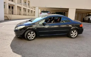 Peugeot 307 2005 – φωτογραφία 4