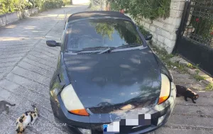 Φωτογραφία 6