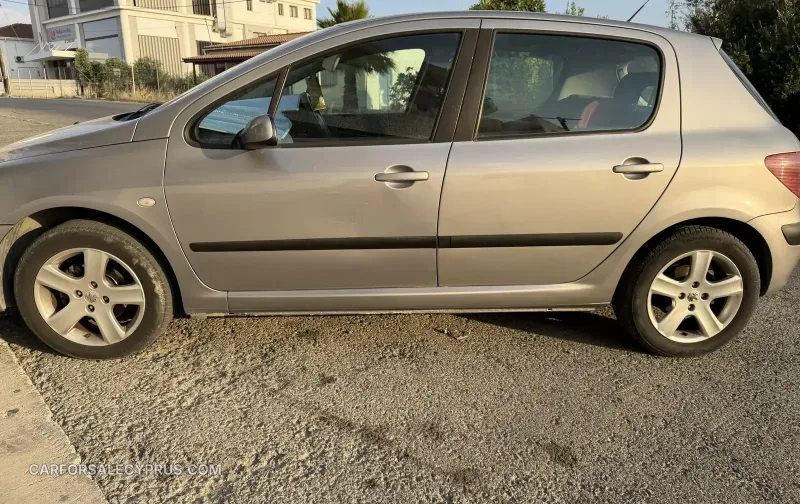Peugeot 307 2004