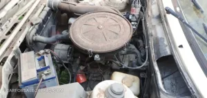 Φωτογραφία 5