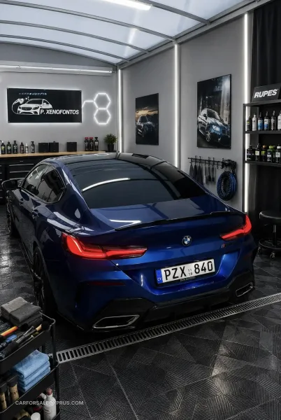 BMW Series 8 2019