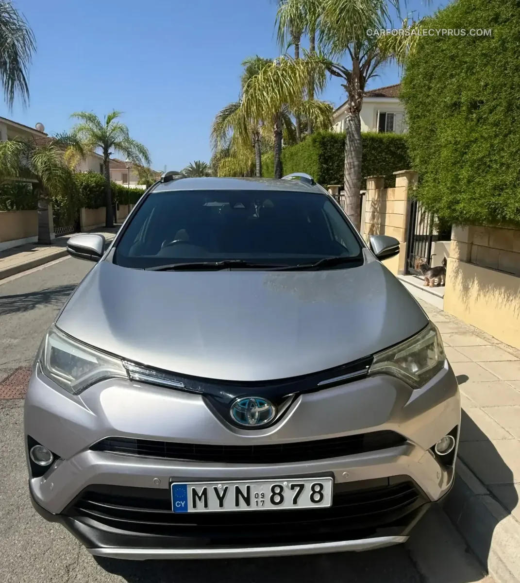 Toyota RAV4 2017