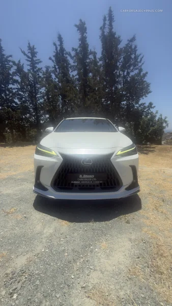 Lexus NX Modelista package 2022