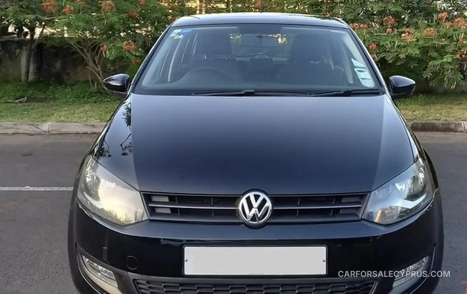 Volkswagen Polo 2011