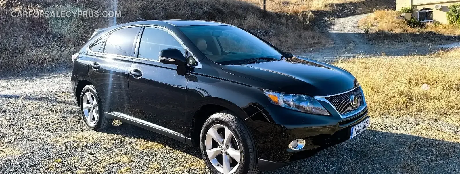 Lexus RX 2009