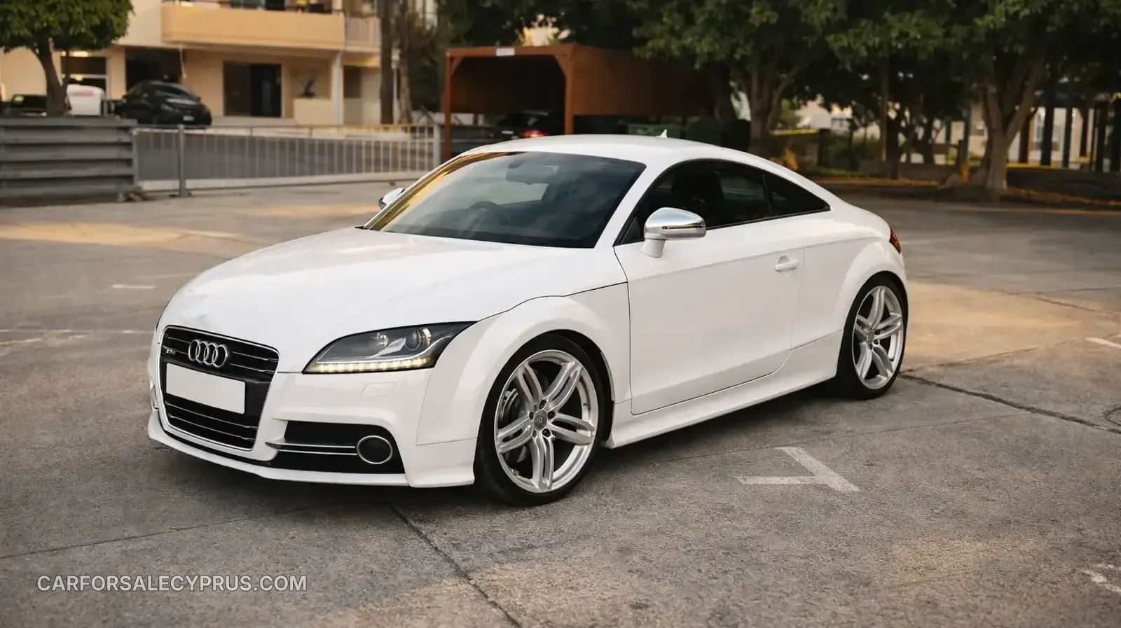 Audi TTS 2010