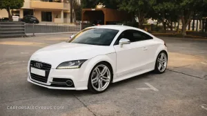 Audi TTS 2010