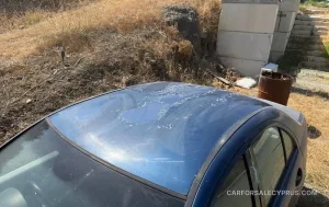 Φωτογραφία 8